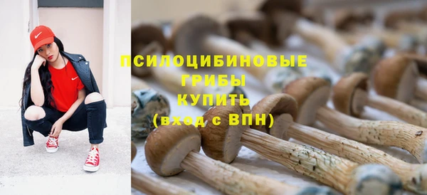 а пвп мука Аркадак